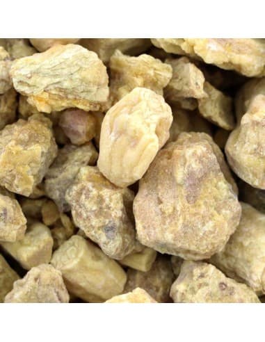 Résine de Shorea Robusta 